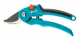 Zhradn nonice
